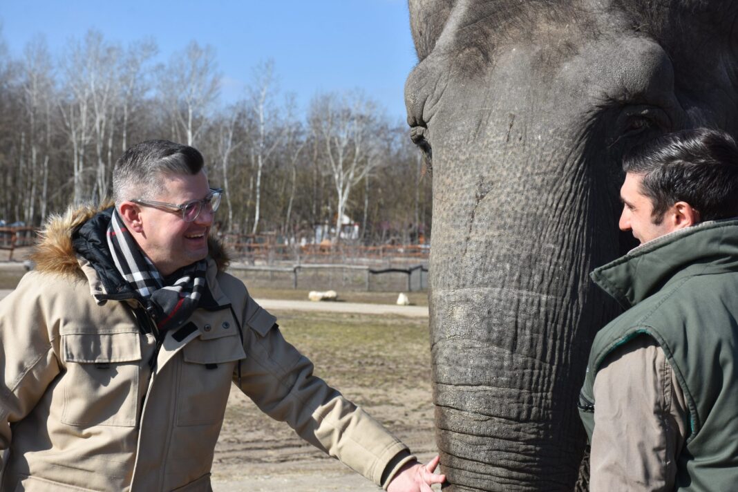 Új lendület a turizmusban: 50% kedvezménnyel mehetnek be a nagykőrösiek a Richter Safari Parkba