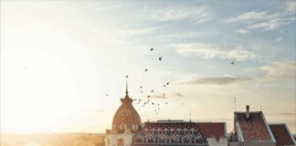 Meghívó Jogi, Gazdasági és Közbeszerzési Bizottság ülésére