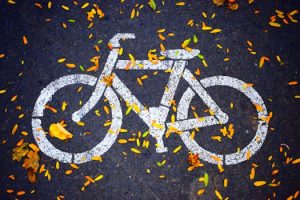 A bicycle lane symbol painted on an asphalt road covered with colorful autumn leaves.